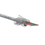 Produkt Uniwersalny konektor RJ45 CAT6 UTP EASY RJ45 8p8c do kabli typu drut i linka SXRJ45-6-UTP-EASY - Solarix - Konektory